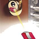 Project Casa. Porte Blindate Torino. Porte Blindate Alias. Optional. Serratura Motorizzata